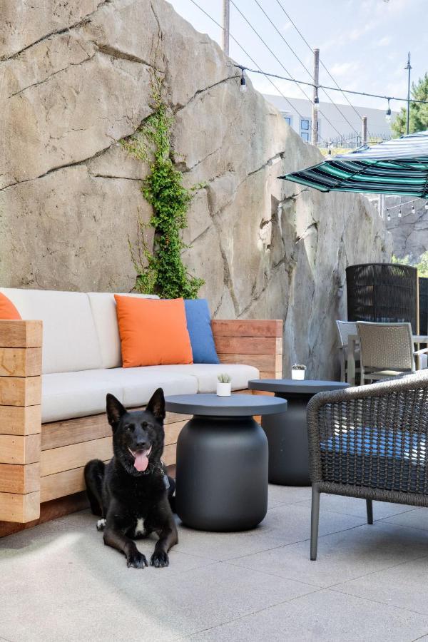 Ayres Hotel Vista Carlsbad المظهر الخارجي الصورة